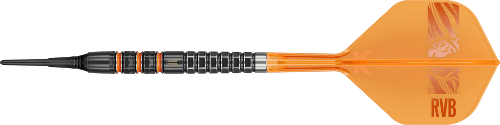 Target Raymond Van Barneveld 95K dardos blandos - 20g