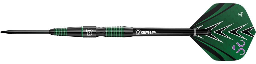 Dardos de acero Bulls Brian Raman G2