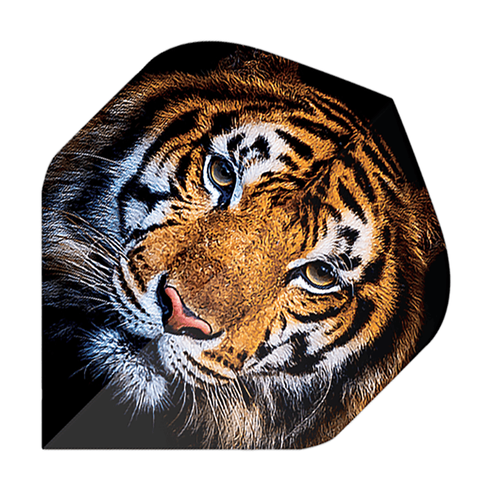 Vuelos de pentatlón Tigre Das Bild zeigt einen Dartflug mit dem Motiv eines realistisch gezeichneten Tigerkopfes. Es handelt sich um das Produkt "Pentathlon Tiger No2 Standard Flights".