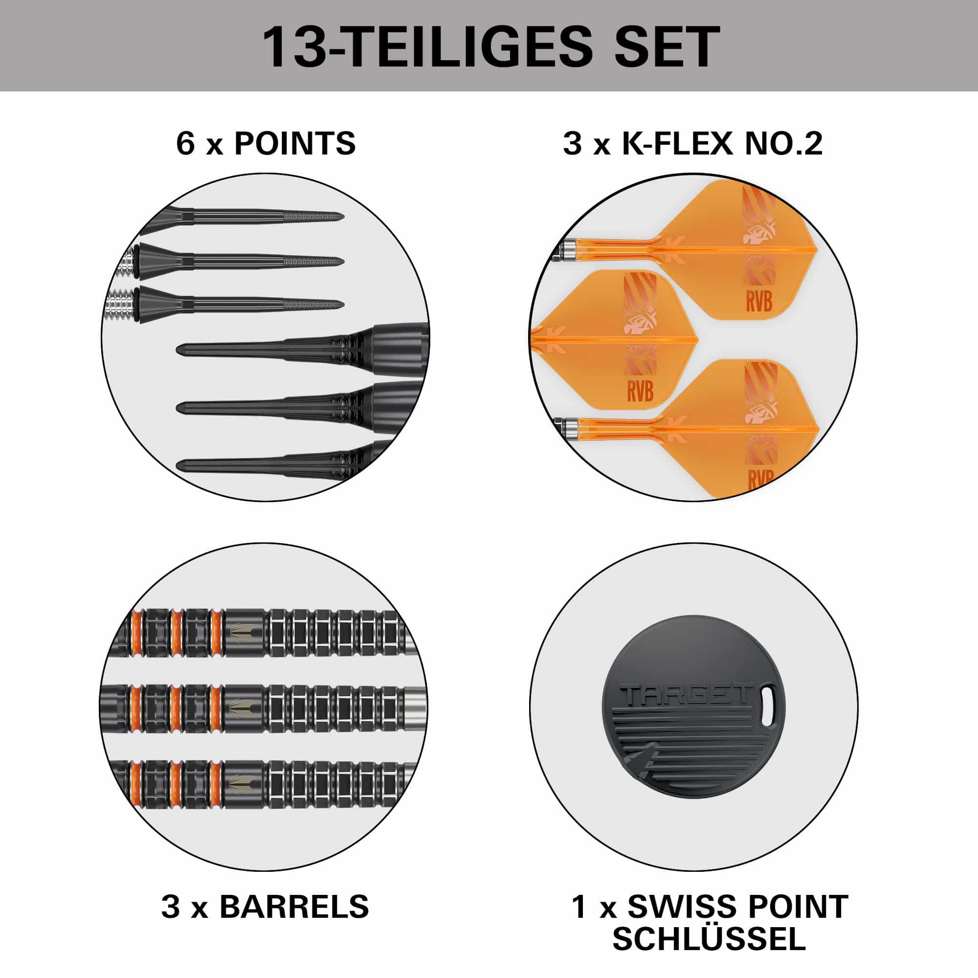 Target Raymond Van Barneveld 95K dardos blandos - 20g