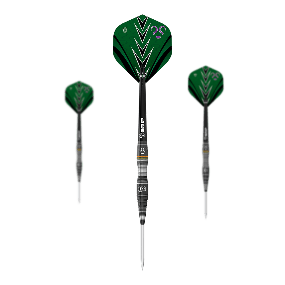 Toros Brian Raman El Acertijo Steeldarts Auf dem Bild sind drei Steeldarts des Modells "Bulls Brian Raman The Riddler" zu sehen. Die Flights sind vorwiegend grün mit schwarzen und weißen Akzenten sowie einem lilafarbenen Fragezeichen.