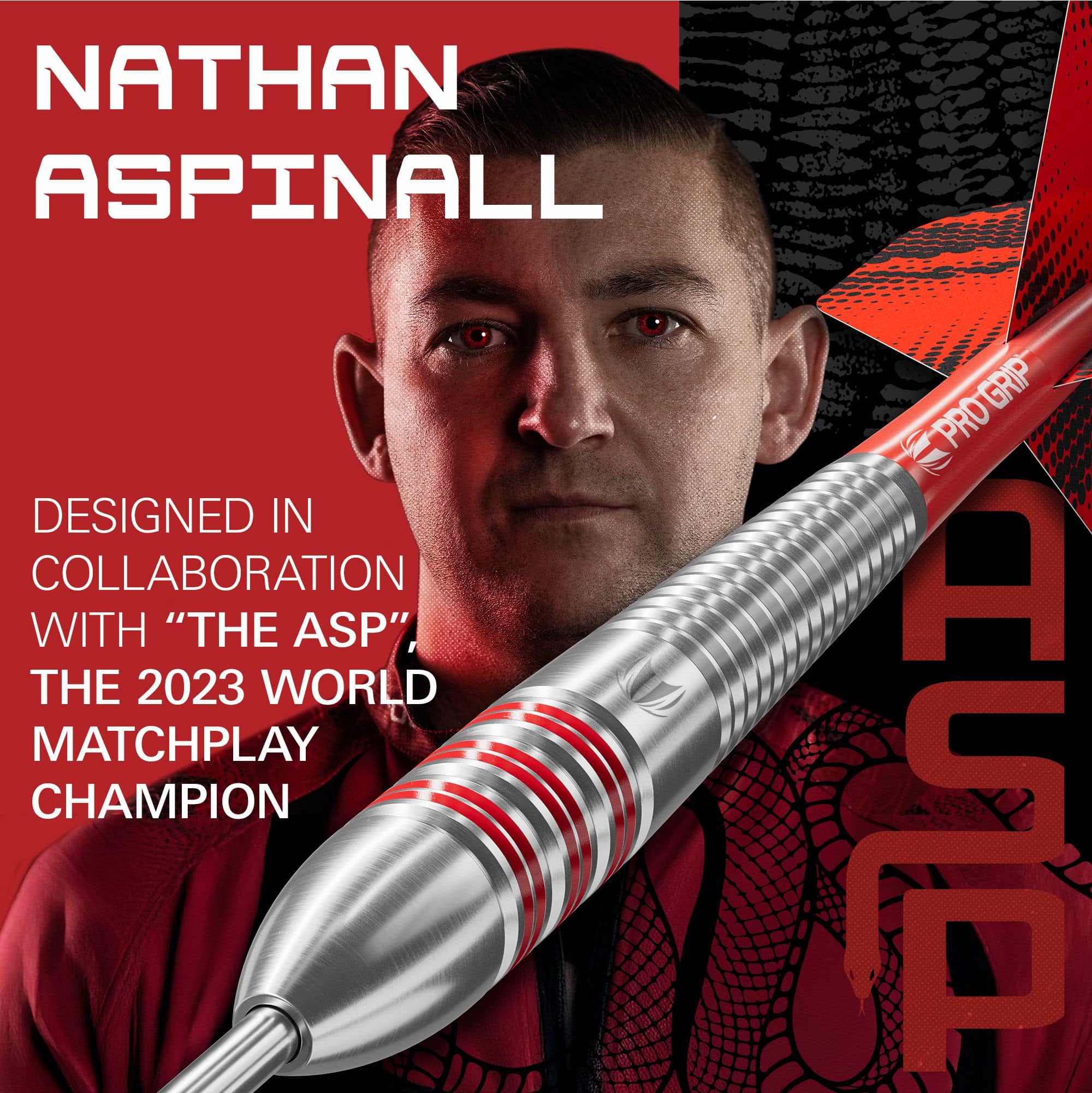 Dardos de latón y acero Target Nathan Aspinall - 22 g Abgebildet sind die Target Nathan Aspinall Brass Steeldarts, Gewicht 22g. Dieses Produkt wird speziell für Steeldartspieler angeboten.