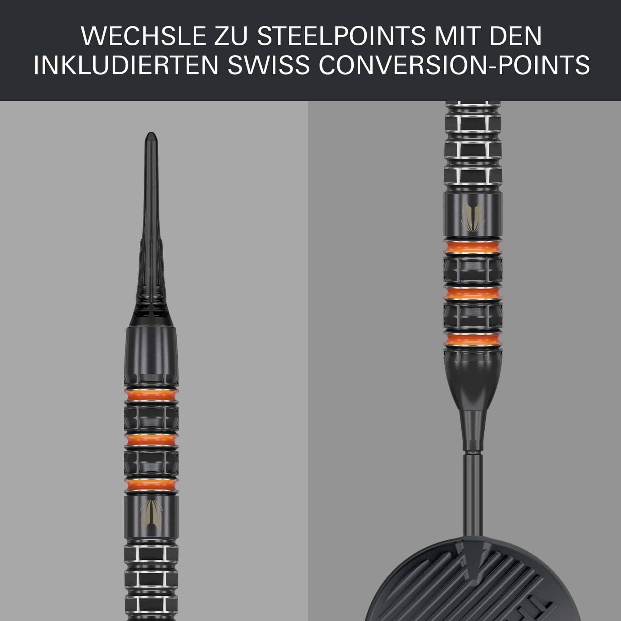 Target Raymond Van Barneveld 95K dardos blandos - 20g