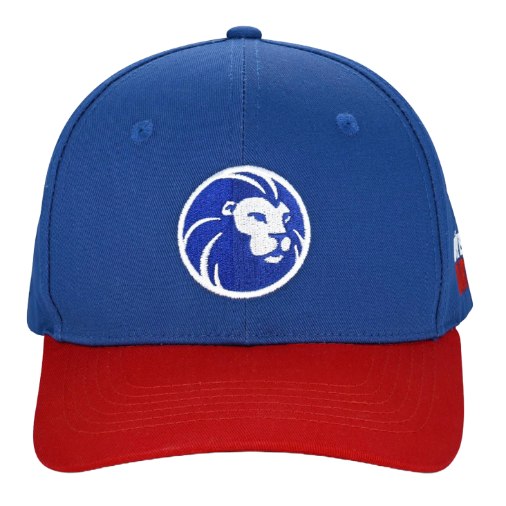 Gezeigt wird eine Cap aus der Löwen Kollektion. Sie ist perfekt für Fans des Dartspiels geeignet.