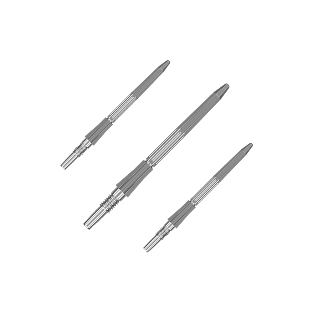 Abgebildet ist ein Set silberner Dartspitzen mit einer Länge von 30mm. Die Dartspitzen sind für das Swiss Point System geeignet.