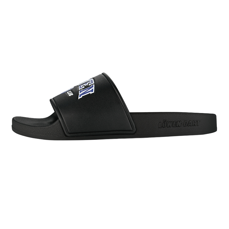 Colección Löwen DARTIletten Dieses Foto stellt die Löwen Kollektion DARTIletten Schuhe dar. Ideal geeignet für Liebhaber des Dartsports.