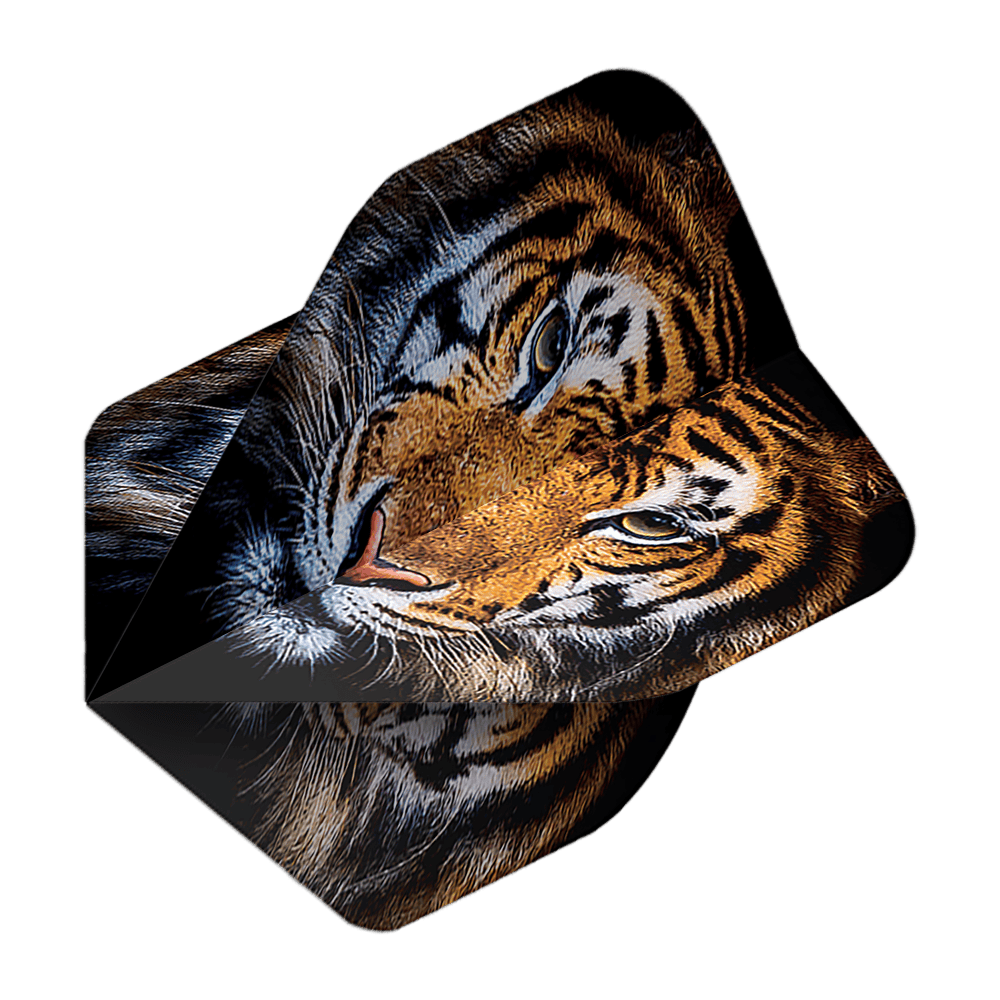 Vuelos de pentatlón Tigre Das Bild zeigt das Produkt "Pentathlon Tiger No2 Standard Flights". Auf den Flights ist ein realistisches Tigerkopf-Motiv abgebildet.