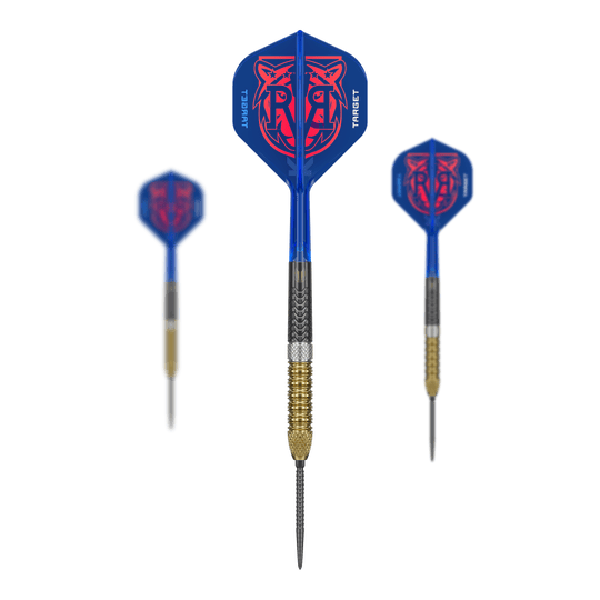 Zu sehen sind die Target Raymond Van Barneveld GEN6 Swiss Point Steeldarts. Diese Darts sind speziell für professionelle Ansprüche gefertigt.