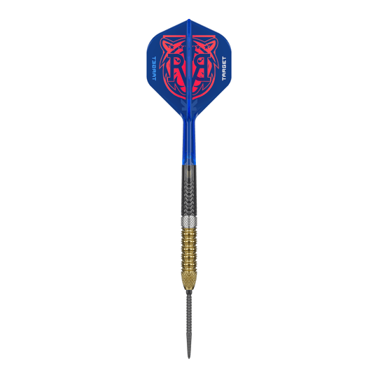 Target Raymond Van Barneveld GEN6 Dardos de acero con punta suiza Abgebildet sind die Target Raymond Van Barneveld GEN6 Swiss Point Steeldarts. Diese Steeldarts bieten erstklassige Qualität und Präzision.