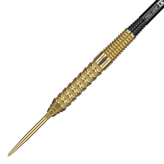Dardos de acero Target Bolide Envy 02 Swiss Point Zu sehen sind Target Bolide Envy 02 Swiss Point Steeldarts. Sie bieten eine elegante Gestaltung und gute Griffigkeit.