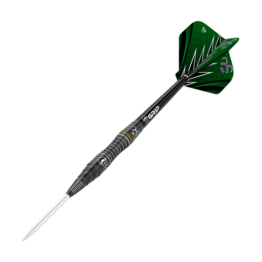 Toros Brian Raman El Acertijo Steeldarts Das Bild zeigt einen modernen Steeldartpfeil mit schwarzem Schaft und silberner Spitze. Die Flights sind grün mit auffälligen schwarzen und weißen Mustern sowie lila Details.