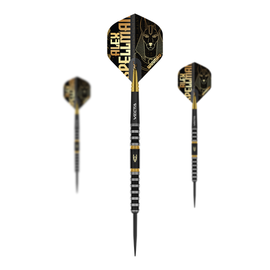 Auf dem Bild ist das Winmau Alex Spellman Steeldarts Set zu sehen. Es handelt sich um ein komplettes Set für Dartspieler.