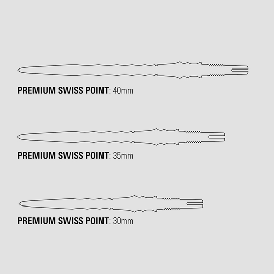 Die Abbildung zeigt die Target Japan Premium Swiss Point Dartspitzen in Silber. Die Spitzen sind speziell für professionelle Dartspiele hergestellt.