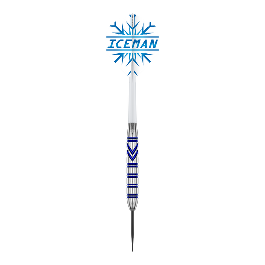 Red Dragon Gerwyn Price Dardos de acero y latón - 21 g Red Dragon Gerwyn Price Brass Steeldarts - 21 g sind auf dem Foto zu sehen. Die Steeldarts zeichnen sich durch ihr elegantes Aussehen aus.