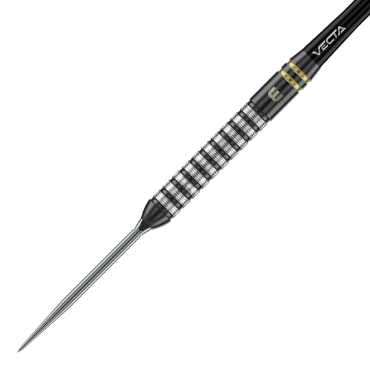 Dardos de acero Winmau Gian Van Veen TS Switch Point Das Foto zeigt Winmau Gian Van Veen TS Switch Point Steeldarts. Der Dartpfeil ist detailliert abgebildet.