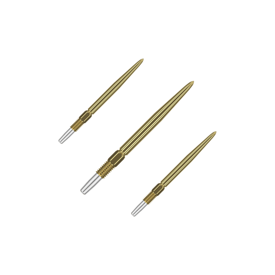 Eine Packung kurze Dartspitzen mit goldener Oberfläche liegt offen da. Die Spitzen sind gleichmäßig angeordnet.
