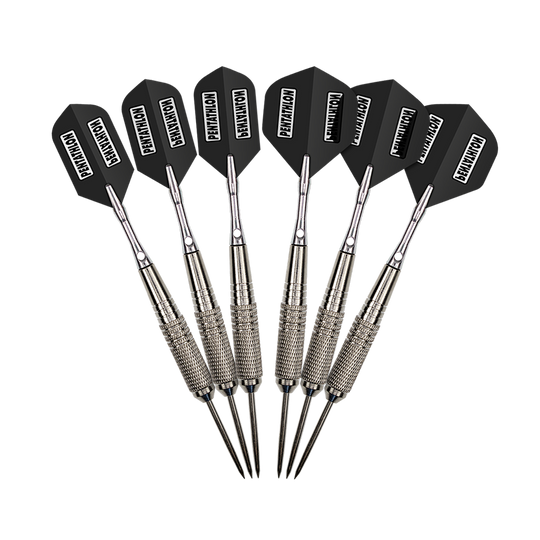 MCST-5_McDart_12er_Steeldarts_3 Auf dem Bild sind zwölf Steeldarts der Marke McDart zu sehen. Die Darts haben silberne Spitzen und schwarze Flights.