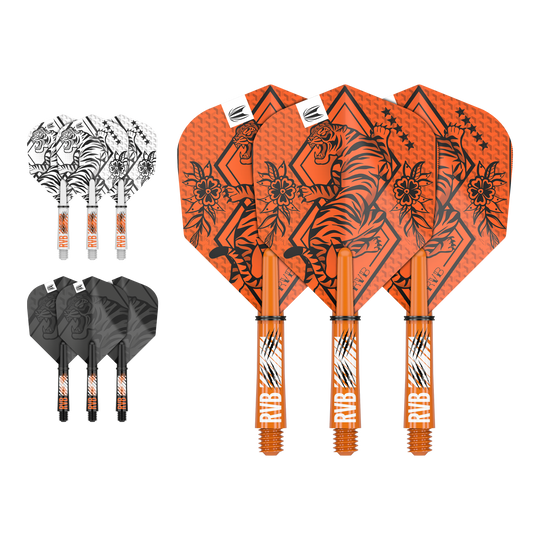 Kit de eje de vuelo de tinta Target Raymond Van Barneveld Abgebildet ist ein Flight-Shaft-Kit, vermutlich das Raymond Van Barneveld Modell mit 34 mm Länge. Das Produkt ist ein Dart-Zubehör.