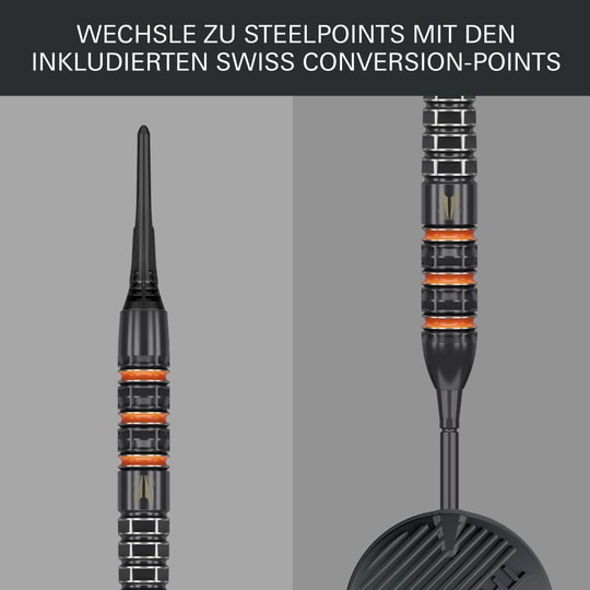Target Raymond Van Barneveld 95K dardos blandos - 20g
