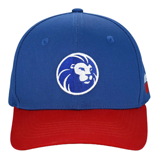 Gorra de la colección León Gezeigt wird eine Cap aus der Löwen Kollektion. Sie ist perfekt für Fans des Dartspiels geeignet.