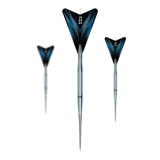 Dardos de acero Caliburn TTD Complete Titanium T3 Silver - 7 g Zu sehen ist das Set Caliburn TTD Complete Titanium T3 Silver Steeldarts - 7g. Es handelt sich um ein silbernes Dartset aus Titan mit einem Gewicht von 7 Gramm pro Dart.