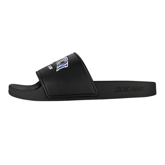 Colección Löwen DARTIletten Dieses Foto stellt die Löwen Kollektion DARTIletten Schuhe dar. Ideal geeignet für Liebhaber des Dartsports.