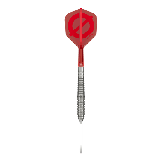 Grupo objetivo O 01 Puntos suizos Steeldarts