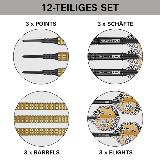 Dardos blandos Target Bolide Envy 10 Das Bild zeigt die Target Bolide Envy 10 Softdarts. Diese Softdarts sind für den elektronischen Dartsport entworfen.