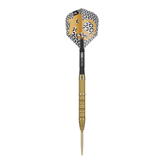 Dardos de acero Target Bolide Envy 01 Swiss Point Das Bild zeigt die Target Bolide Envy 01 Swiss Point Steeldarts. Diese Darts sind für anspruchsvolle Dartspieler geeignet.