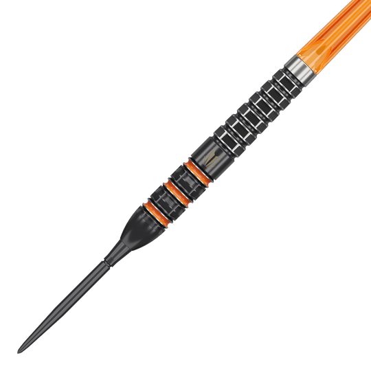Diana Raymond Van Barneveld 95K Dardos de acero con puntos suizos