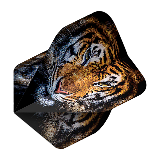 Plumas estándar Pentatlón Tiger No2