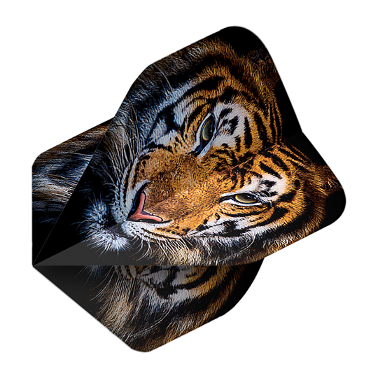 Vuelos de pentatlón Tigre Das Bild zeigt das Produkt "Pentathlon Tiger No2 Standard Flights". Auf den Flights ist ein realistisches Tigerkopf-Motiv abgebildet.