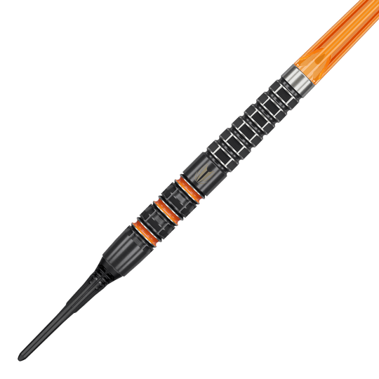 Target Raymond Van Barneveld 95K dardos blandos - 20g
