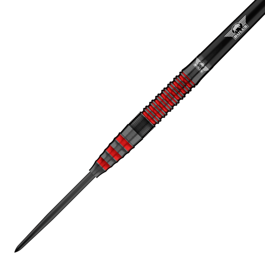 Dardos de acero Bulls NL Florian Price - 23 g Das Bild zeigt die Bulls NL Florian Preis Steeldarts - 23g. Diese Steeldarts sind speziell für Präzision und Kontrolle entworfen.